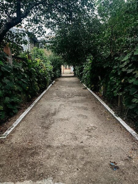 Hala Traian Bucuresti,